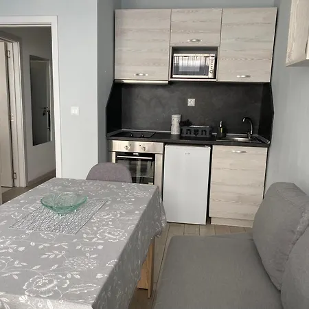 Apartment Siyana Varna-free Parking