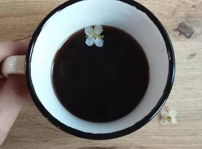 Siyana Varna-free Parking וארנה