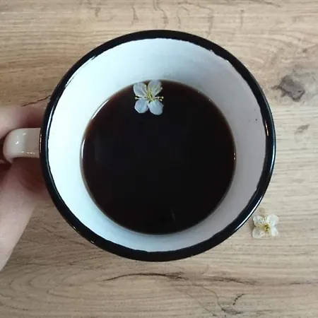 Siyana Varna-free Parking Varna